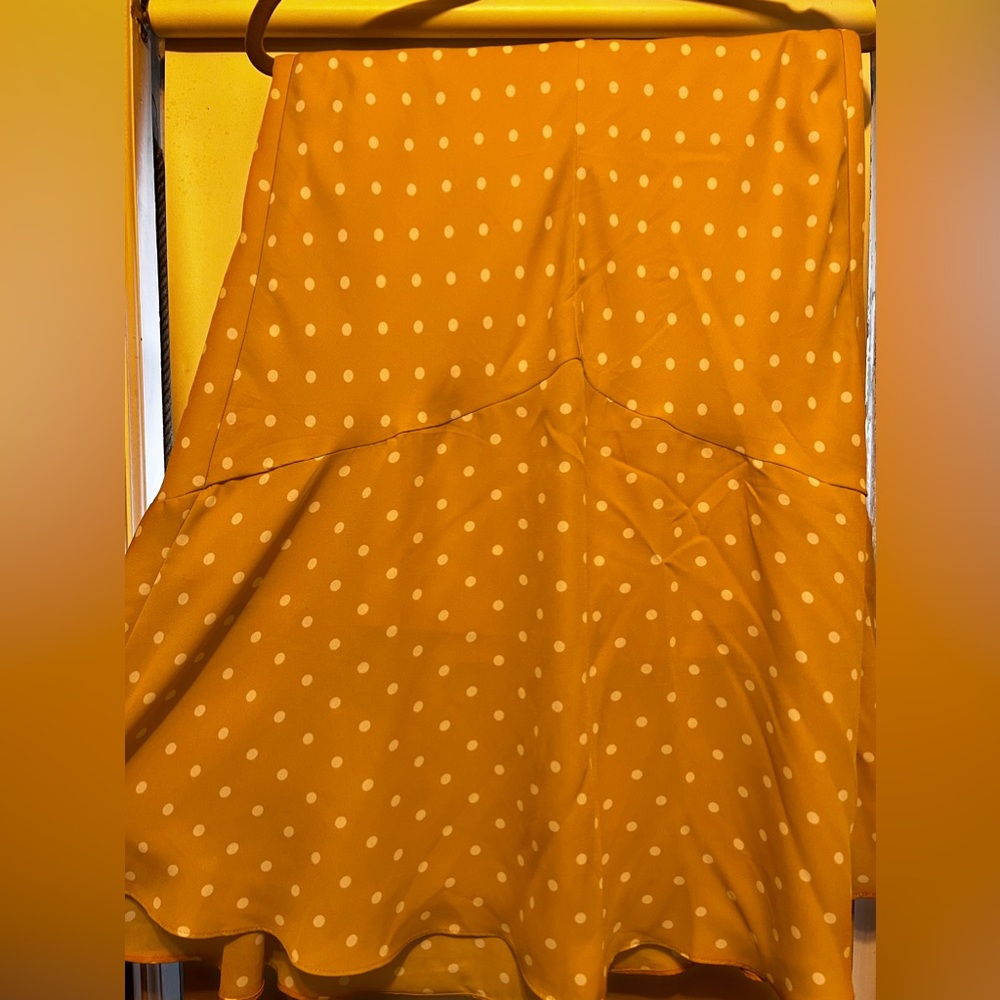 Banana Republic skirt